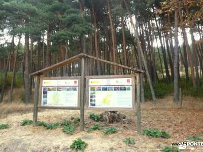 Bosques de Valsaín y Real Sitio de La Granja: Ruta de Senderismo; seguro federacion montaña federars